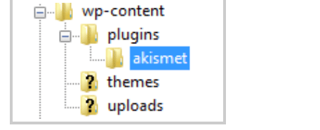 Screenshot of a plugin name highlighted in a website's file manager